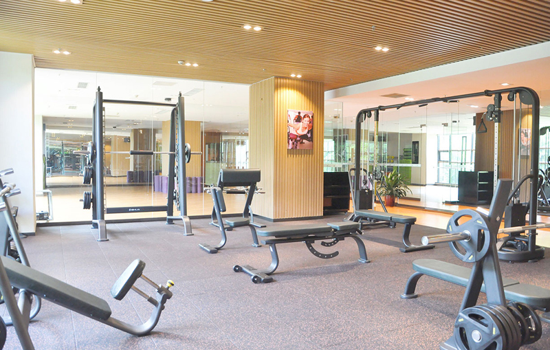 酒店健身房器材,高端健身房器材,室内健身器材-广西壹号娱乐体育健身器材有限公司