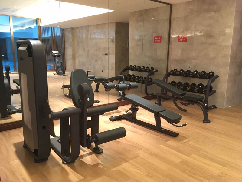 酒店健身房器材,室内健身器材,高端商用健身器材-广西壹号娱乐体育健身器材有限公司