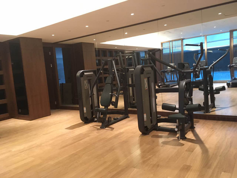 酒店健身房器材,室内健身器材,高端商用健身器材-广西壹号娱乐体育健身器材有限公司