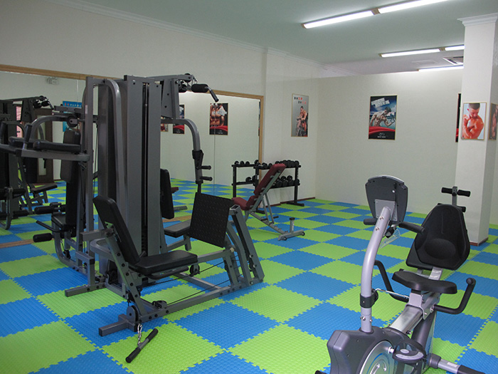 室内健身器材,单位健身器材,健身器材十大品牌-广西壹号娱乐体育健身器材有限公司