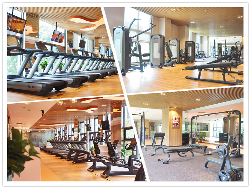 室内健身器材-酒店健身器材 室内健身器材-酒店健身器材